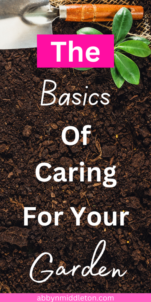 Green Thumb 101: The Basics of Caring for Your Garden