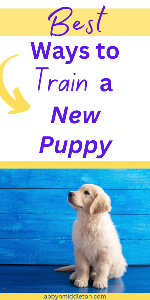 Best Ways to Train a New Puppy