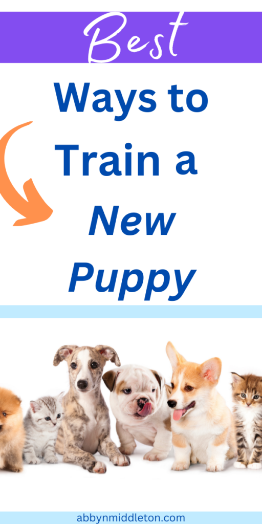 Best Ways to Train a New Puppy