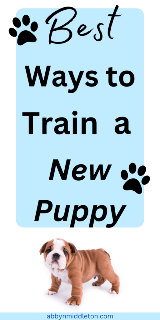 Best Ways to Train a New Puppy